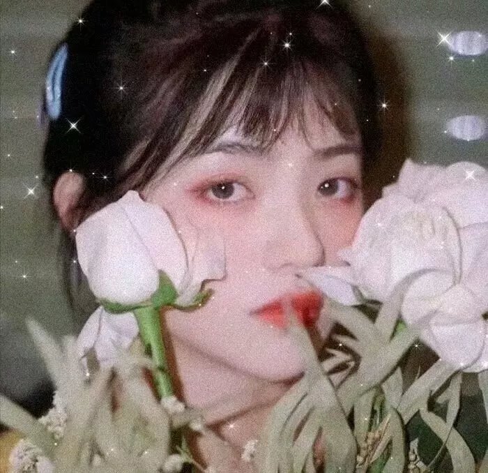 风流女明星
