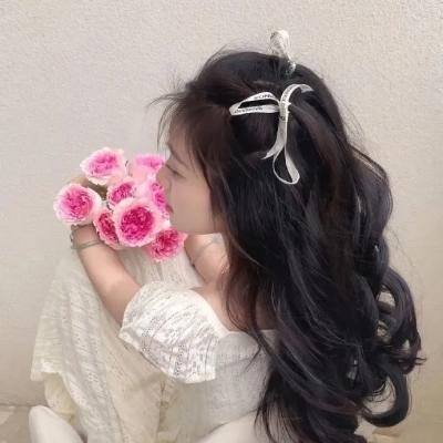 鳄鱼邓迪