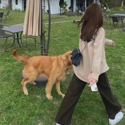 阴谋职场第二季